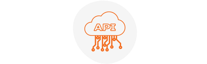 Webservices (API) | Native integration with Client systems